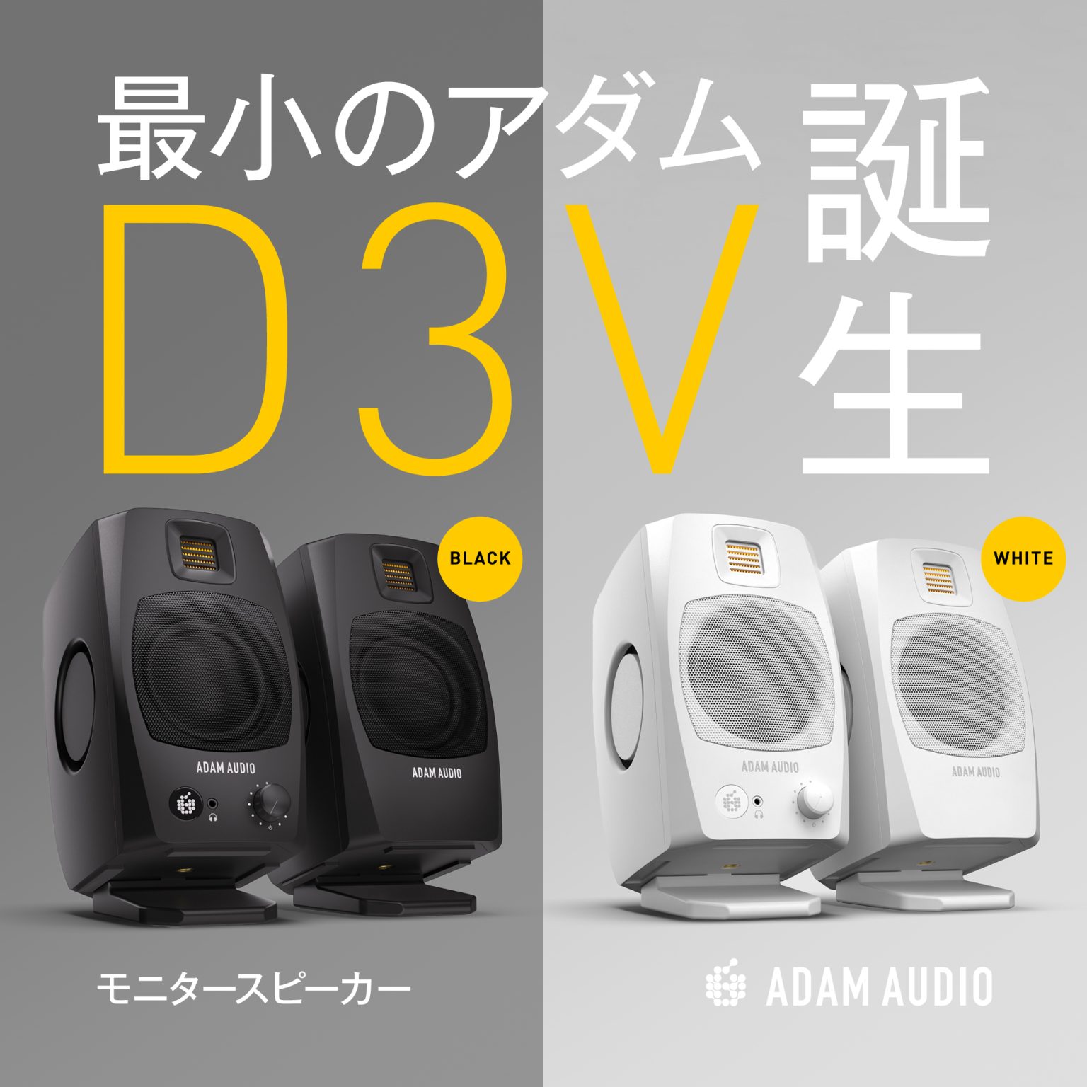 Adam Audio D V