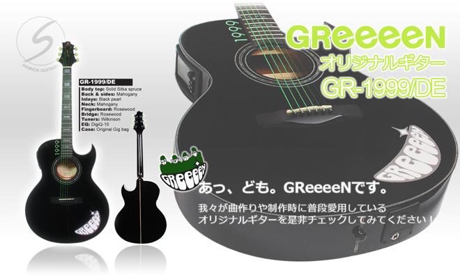 GReeeeN　ギター　グッズ　ケース付き