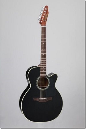 予約受付中】TAKAMINE TDP500-6 BL 200本限定生産 6連ペグモデル｜島村楽器 浦和パルコ店