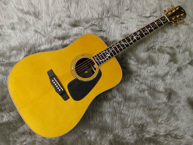 アコギ情報】モーリスから限定生産のギターが入荷！｜島村楽器 イオン 