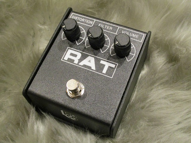 rat