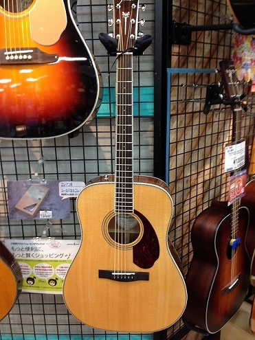 FenderフェンダーのアコギPM-1 STD DREADNOUGHT試せます！｜島村楽器 イオンモール秋田店