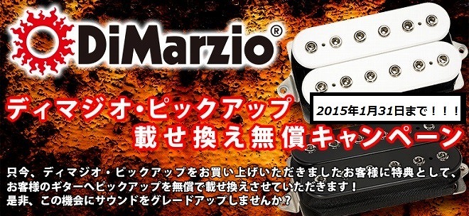 水戸店がDiMazioオーソライズドディーラーに認定されました！！｜島村