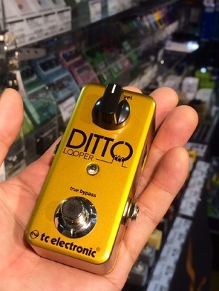 ギターtc electronic Ditto Looper Gold Edition - エフェクター