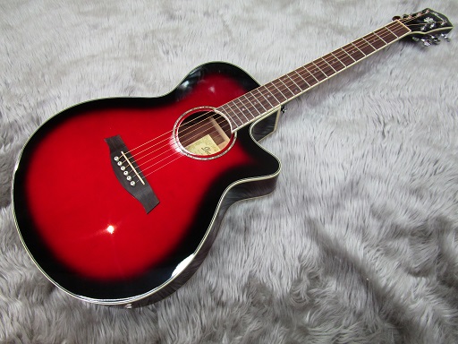 Ibanez AEG10Ⅱ - アコースティックギター