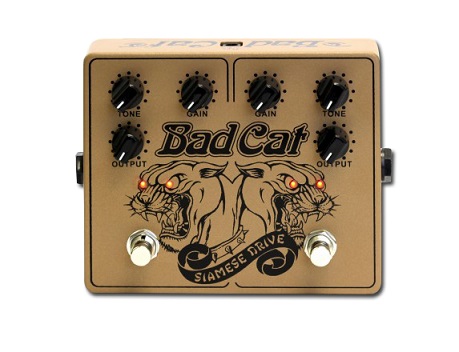 BAD CAT初のコンパクトエフェクターSiamese Driveのゴールドバージョン 