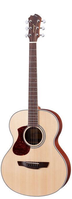 modelJ-300DCAOjamesギター