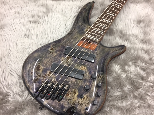 エレキベース】Ibanez/SRMS805再入荷致しました！「Ibanez在庫リスト3