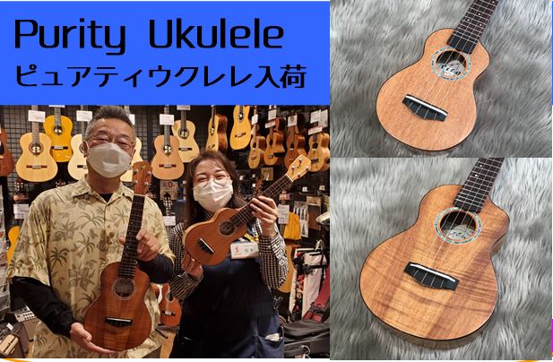 ウクレレ】Purity Ukulele（ピュアティウクレレ）2本入荷｜島村楽器