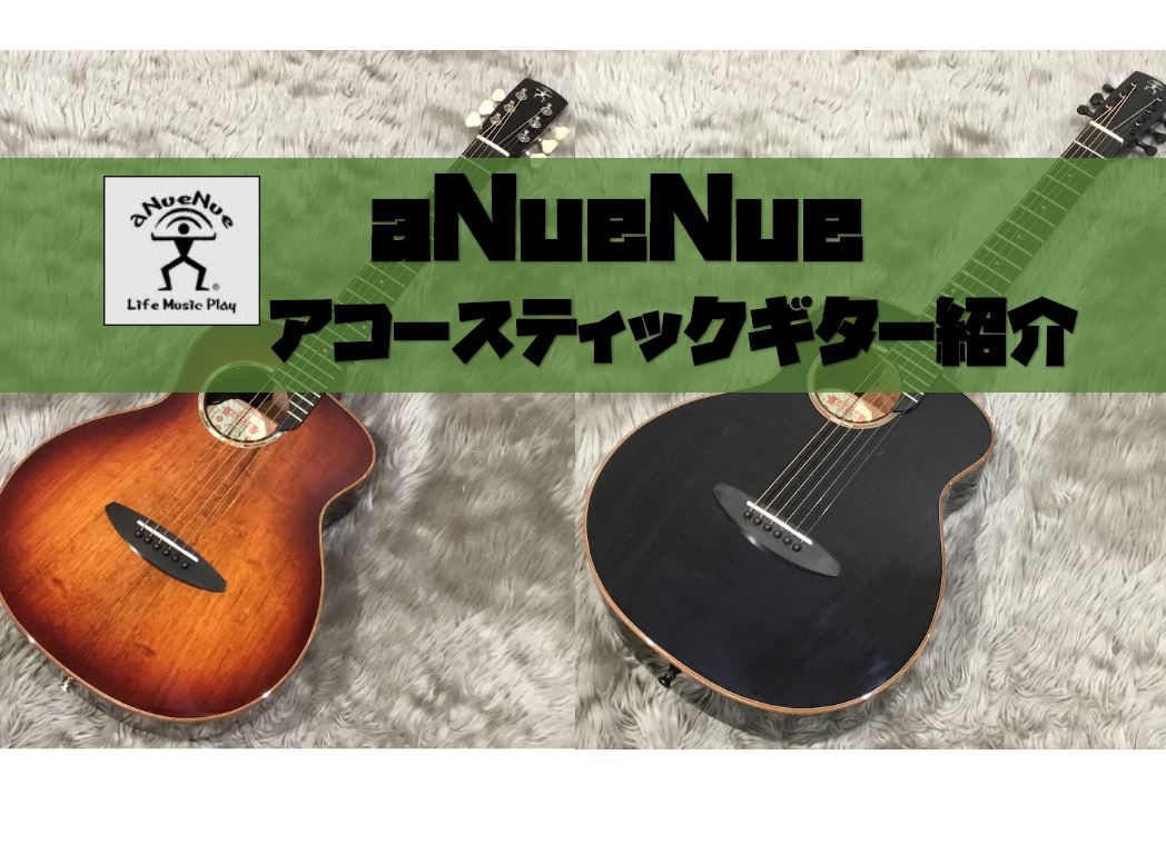 専用 aNueNue ( アヌエヌエ ) / M2 アコースティックギター