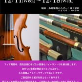 ヴァイオリンフェア開催中！2024/11/11～11/18まで♪