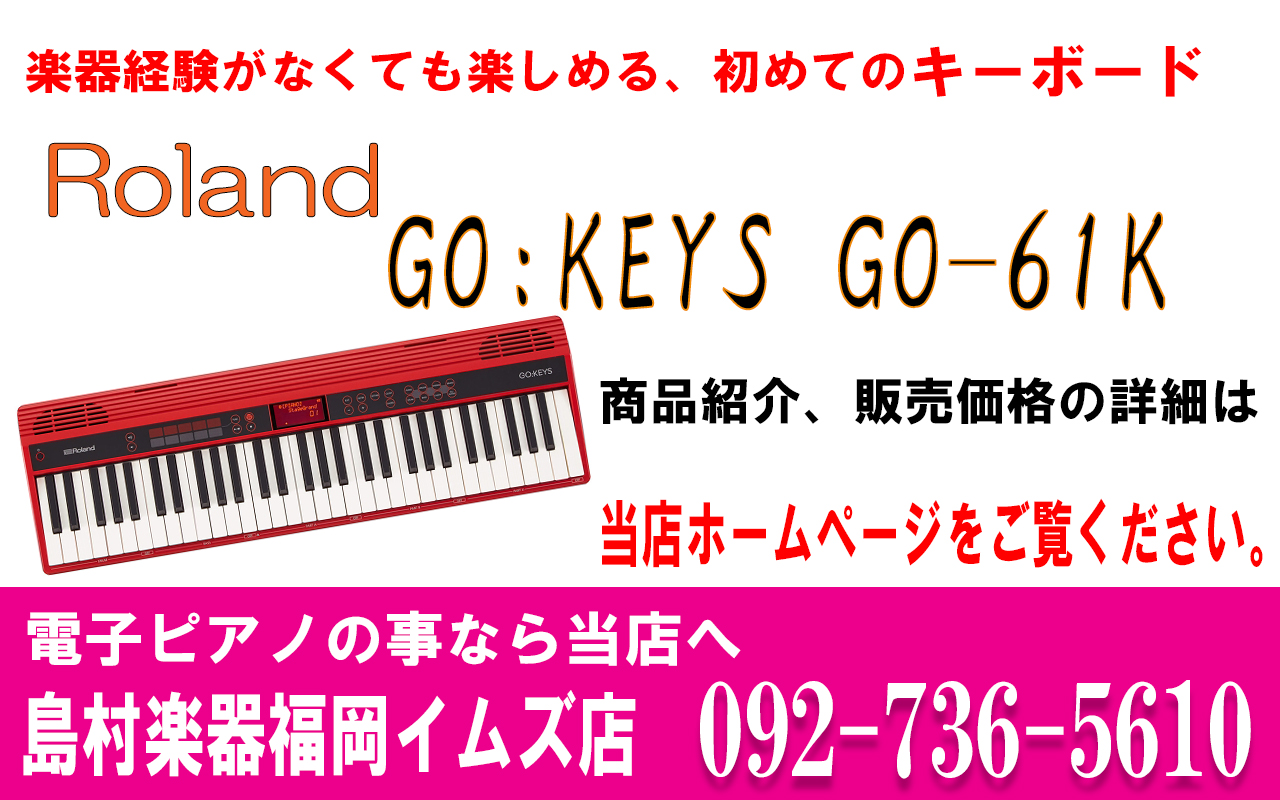 Roland ローランド/GO-61K GO:KEYS