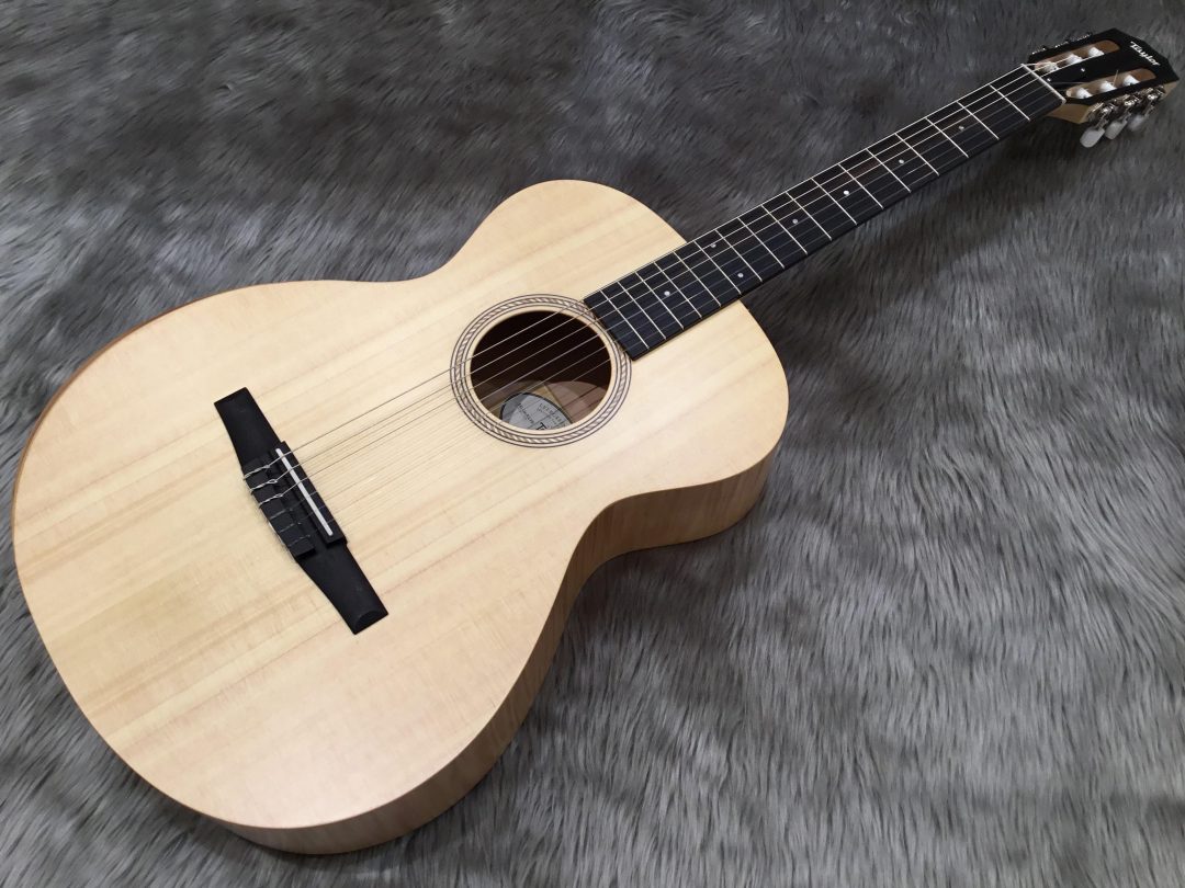 Taylor LTD EG Academy 12e ギター