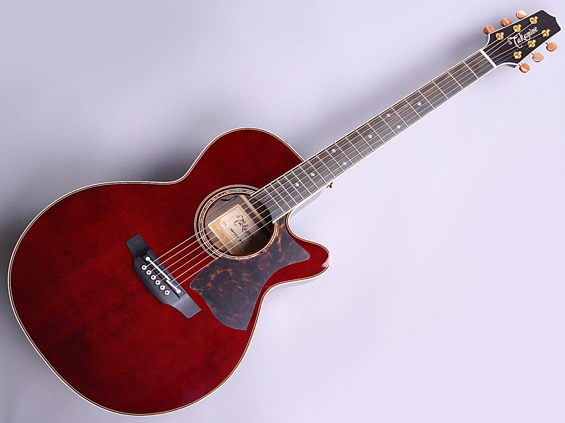 TAKAMINE DMP50S エレアコ 1部難あり-