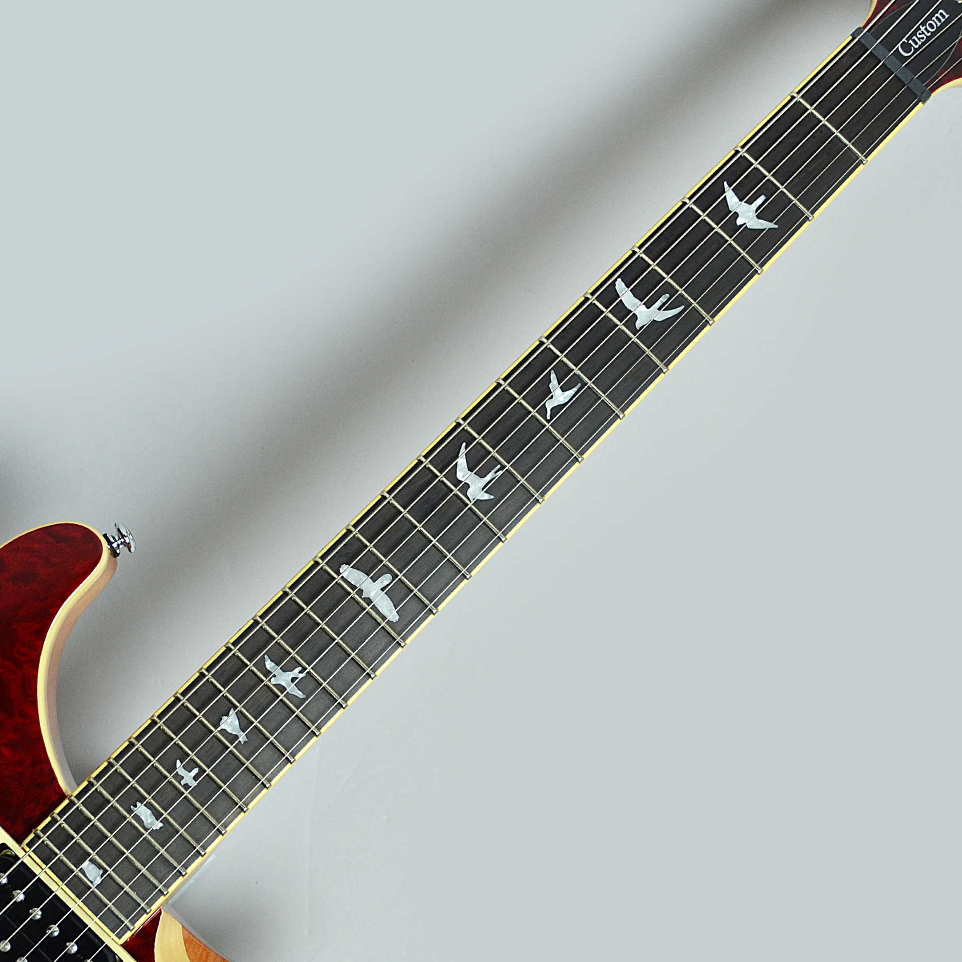 ブランドサイト PRS CUSTOM24SE 島村楽器限定カラー - 楽器/器材