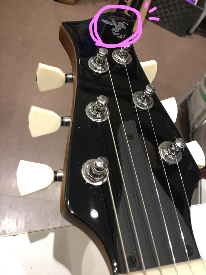 エレキ女子におすすめ 可愛いギター紹介します イオンモール浜松市野店 店舗情報 島村楽器