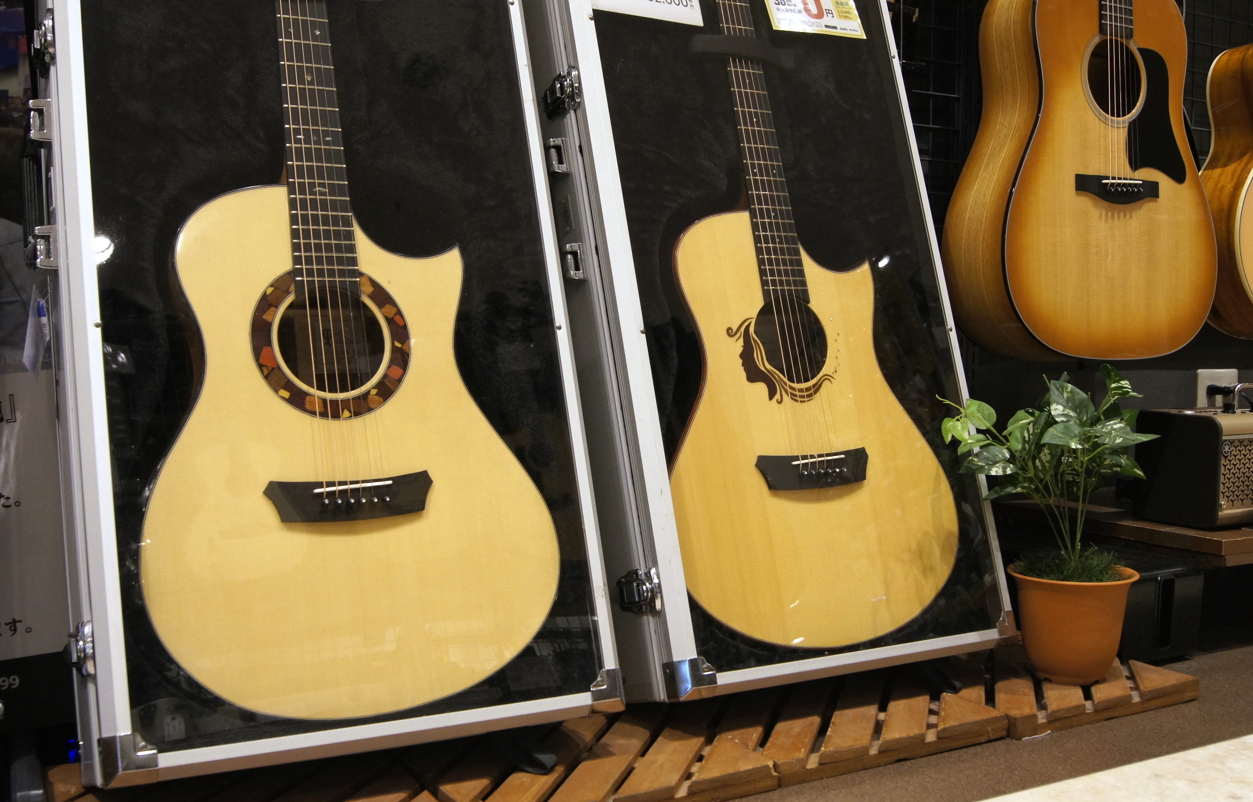 フィンガースタイル・ソロギターコーナーを新設しました！【アコースティックギター】｜島村楽器 金沢フォーラス店