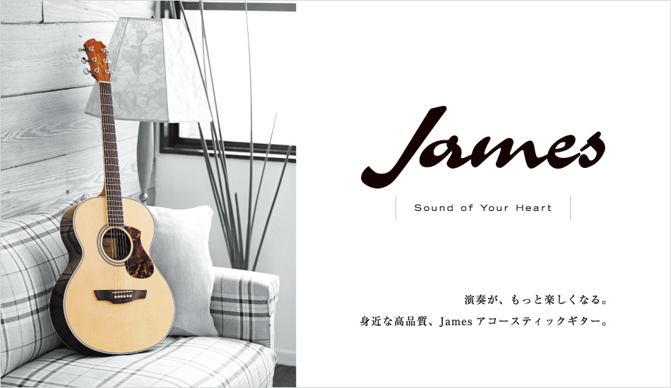 James J-300A/EBU ジェームスアコースティックギター
