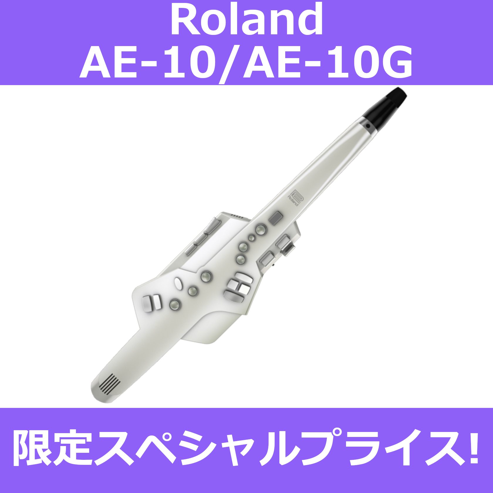 Roland  aerophone  AE-10G  エアロフォン