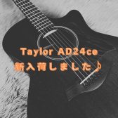 Taylor「AD24ce」入荷しました！