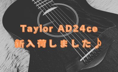 Taylor「AD24ce」入荷しました！