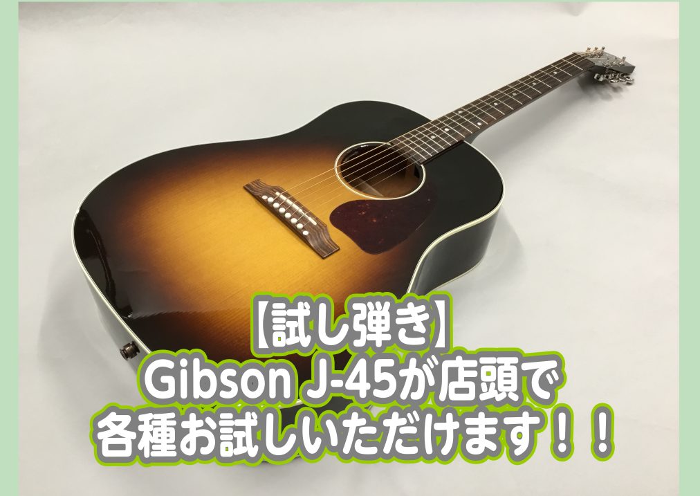 試し弾き】Gibson J-45が店頭で各種お試しいただけます！！｜島村楽器