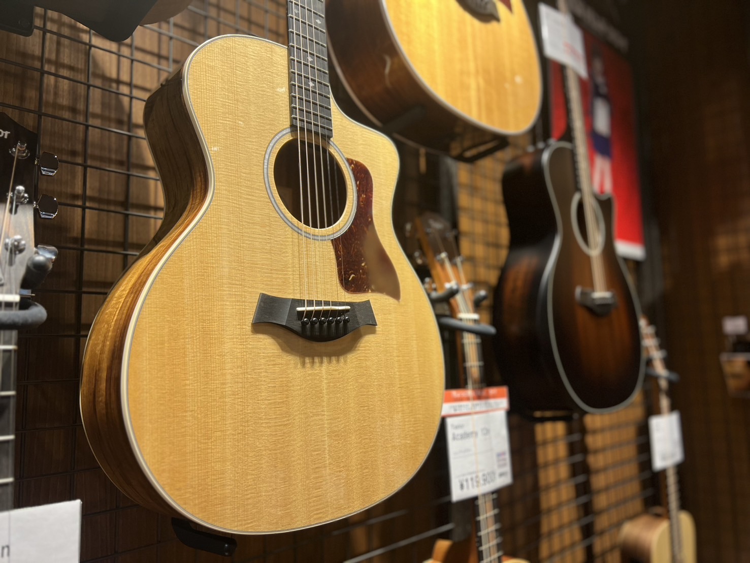 Taylorギター展示中】アコースティックギター｜島村楽器 ららぽーと福岡店