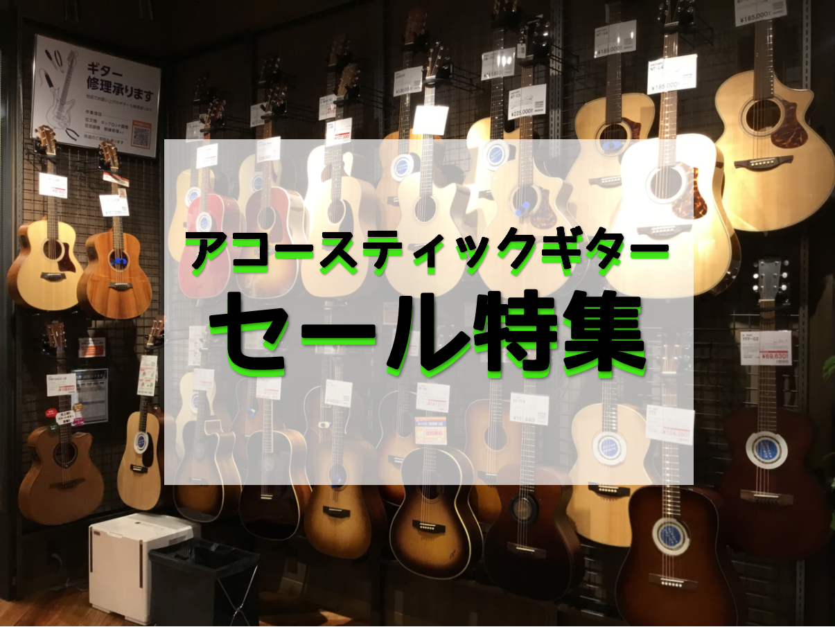 5/20更新】アコースティックギター数量限定セール実施中！｜島村楽器 