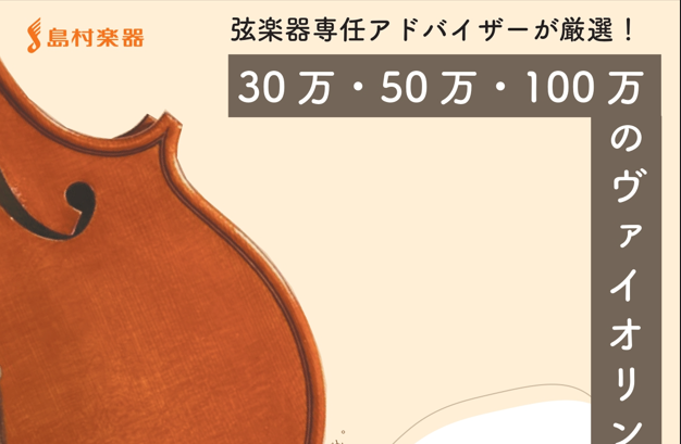 EASTMAN SVL80セット 4/4 バイオリン 初心者セット 【マイスター茂木