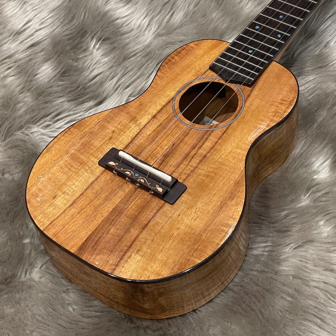 本物品質の FUJIGEN FGN Acoustic FUS-TC Concert acornproperties.co.uk