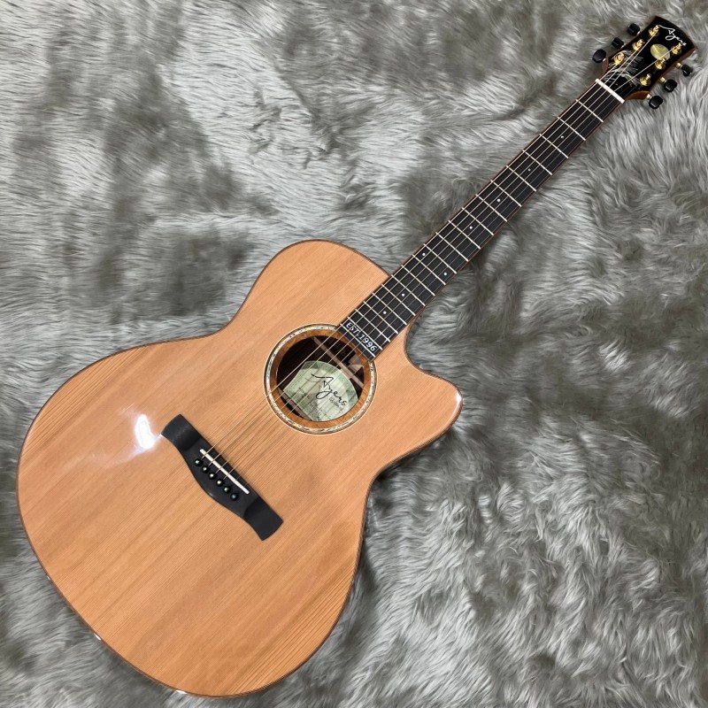 7/14～7/30】Ayers Guitars［エアーズ・ギター］フェア開催中！（アコースティックギター）｜島村楽器 セブンパーク天美店