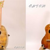 【ウクレレ入荷情報】Antar (アンタール)青木ギター工房 お取り扱い開始！