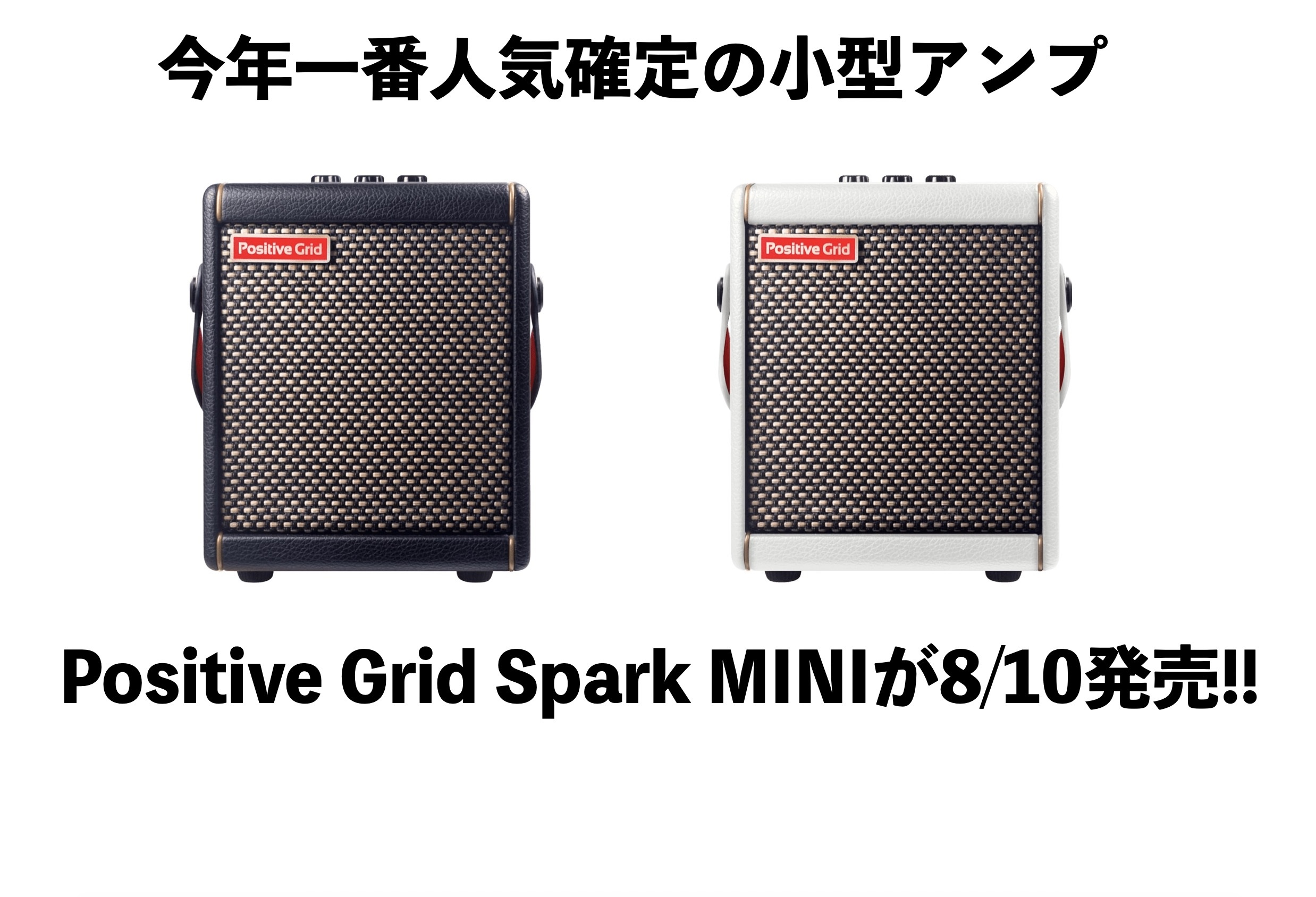 Positive Grid Spark Mini ギターアンプ【JUNK】
