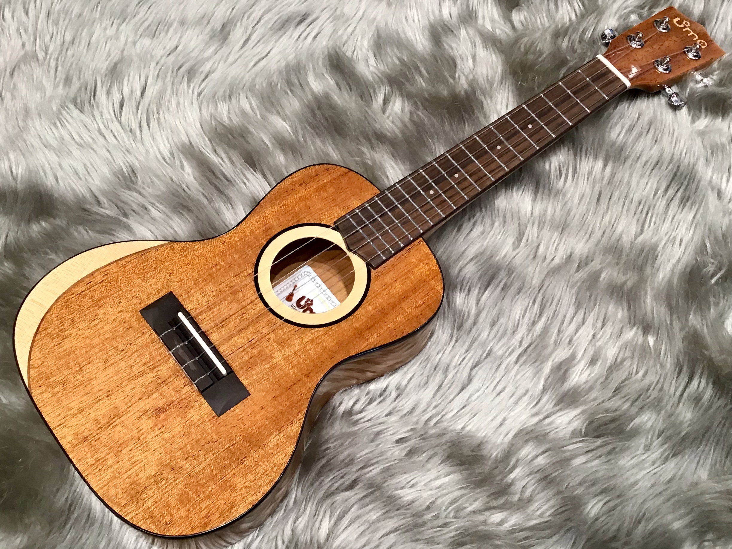 ウクレレ】Uma ukulele 「MOON-SC Concert」 入荷しました！｜島村楽器 イオンモール直方店