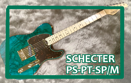 2022SUMMER/AUTUMN新作 【超美品】SCHECTER PS-PT ILB/M | doppocucina