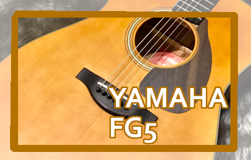 アコースティックギター】YAMAHA FG5｜島村楽器 イオンモール直方店