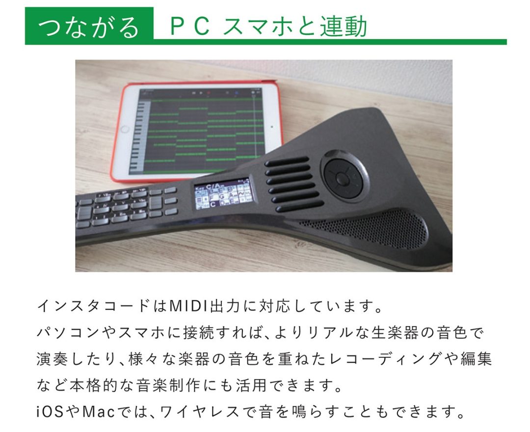 売りショップ INSTACHORD+ インスタコード IC-31 - 楽器/器材