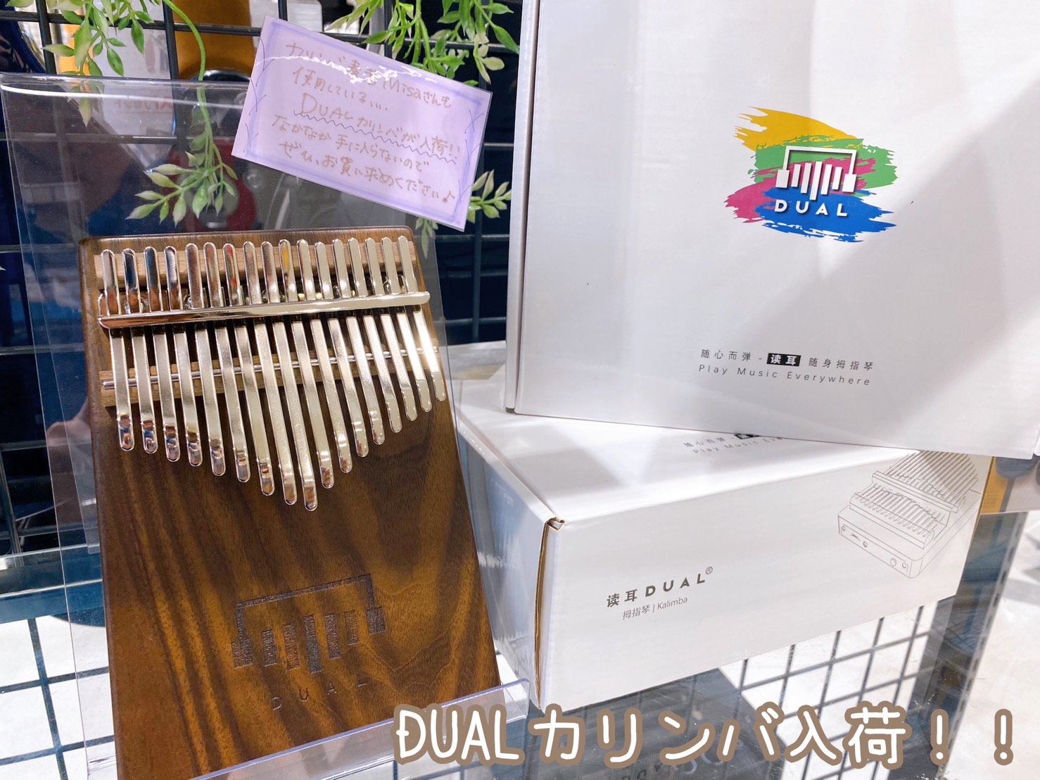 カリンバ】「April Yang Dual Kalimba D1」入荷しました！｜島村楽器 イオンモール直方店