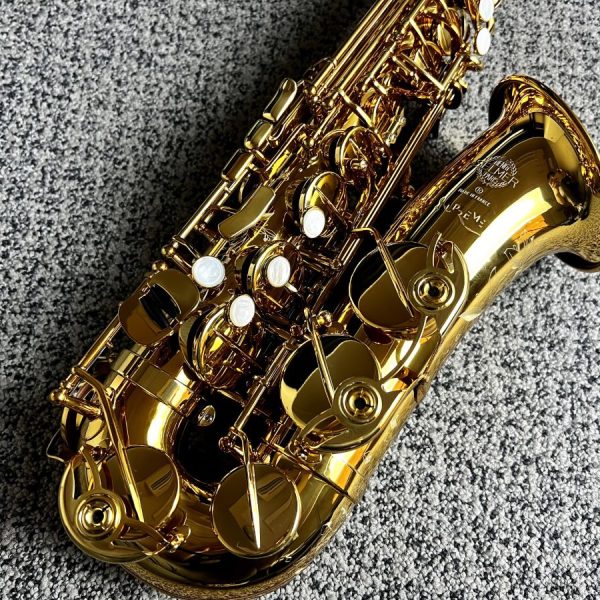 売り切れました / アルトサックス】H.Selmer Supreme AS(彦坂眞一郎氏選定品 / 展示中)｜島村楽器 イオンモール直方店