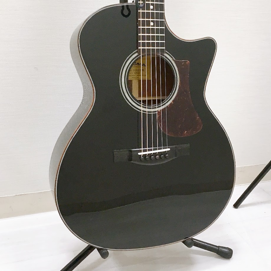 定価10万円のアコギ】Eastman AC-320 / Natural 購入