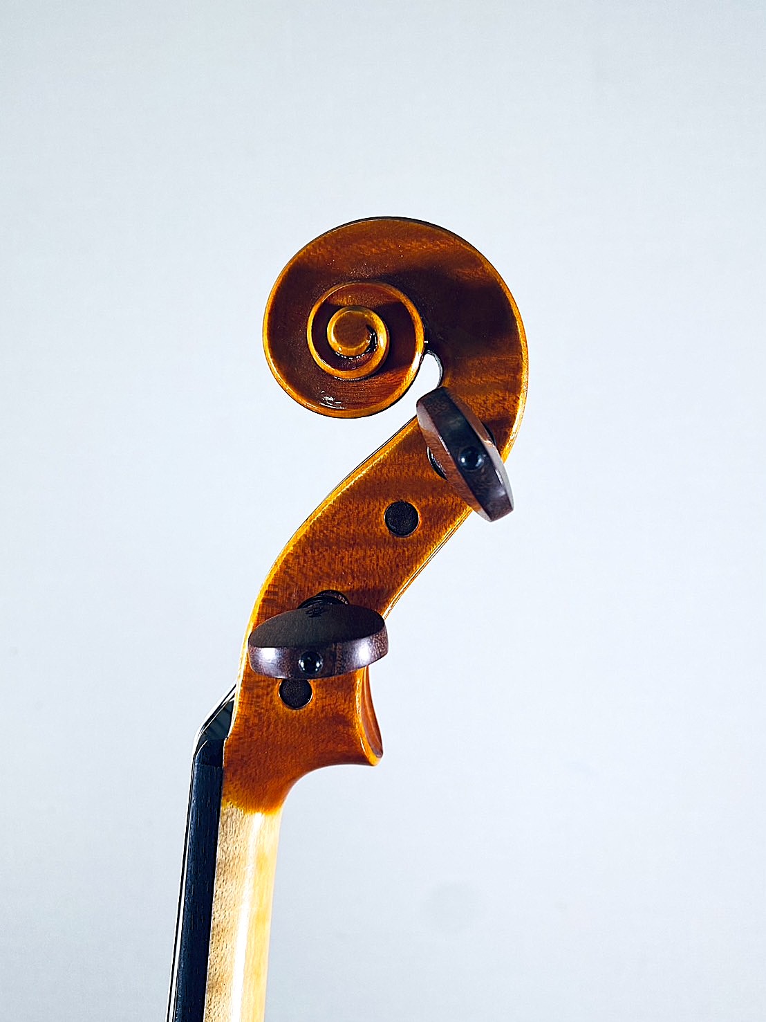 Francesco Bissolotti, Italy – Cremona, 1998, Model; Antonio Stradivari  1705(mint condition) ヴァイオリン フランチェスコ・ビソロッティ｜島村楽器 シマムラストリングス秋葉原