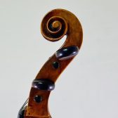 ＜Violoncello＞ Custode Marcucci, Italy – Sant’Agata sul Santerno, ca1890　チェロ　クストーデ・マルクッチ