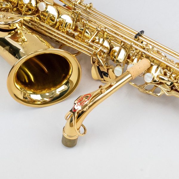 中古楽器情報】YANAGISAWA『A900（アルトサックス）』入荷致しました！｜島村楽器 Wind & Repair