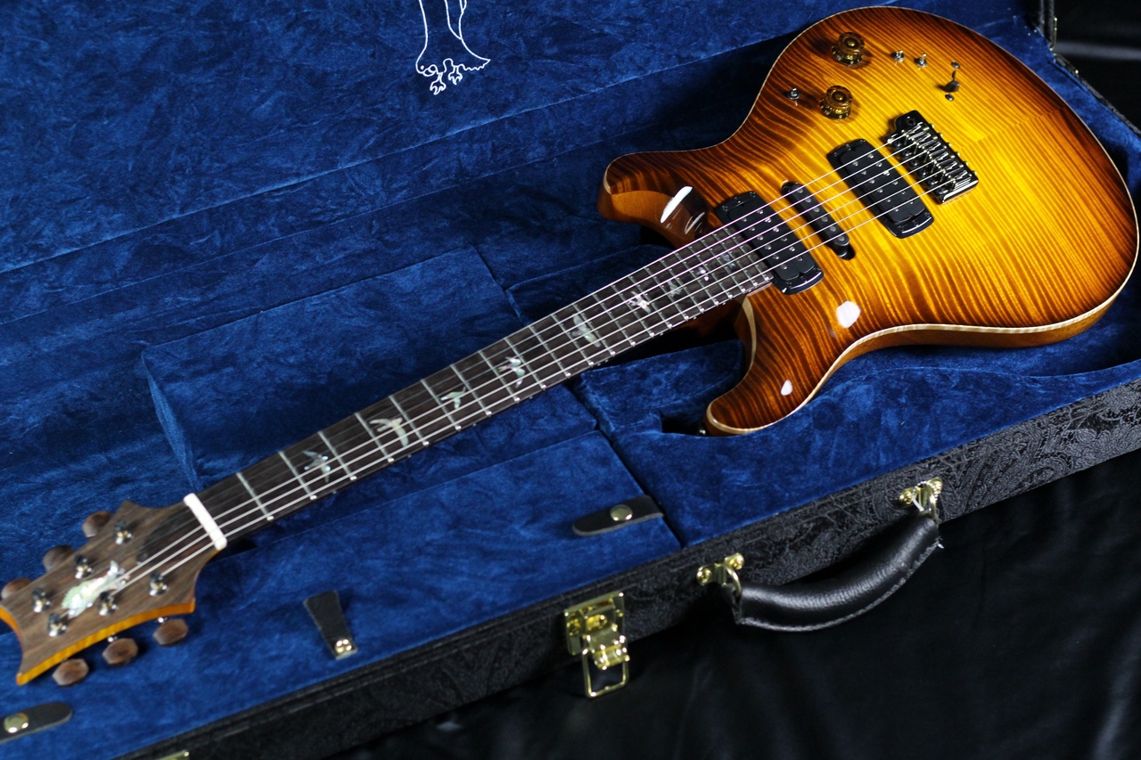 Paul Reed Smith】Private Stock Modern Eagle V Limited/McCarty Glow