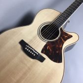 【ギター入荷速報！】Takamine (タカミネ) DMP50S (NAT) WEB購入できます！