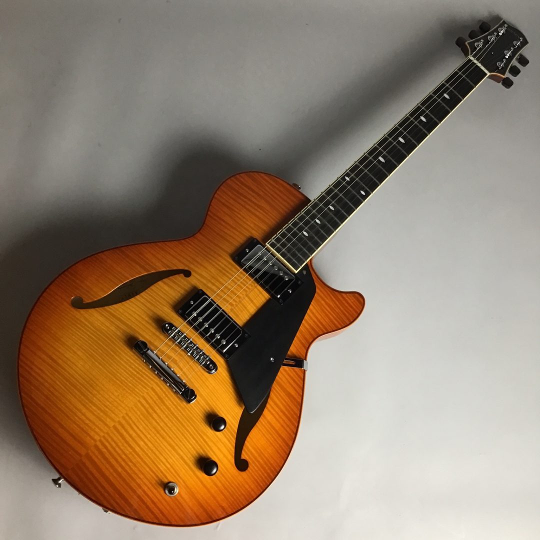 ギター入荷速報！】Sadowsky (サドウスキー) Semi Hollow Model Violin Burst WEB購入できます！｜島村楽器  モラージュ菖蒲店