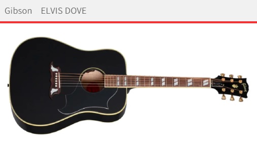 Gibson ELVIS DOVE”King of Rock 'n' Roll”エルヴィス・プレスリーの