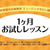 【1ヶ月お試し】大人のピアノレッスンご紹介