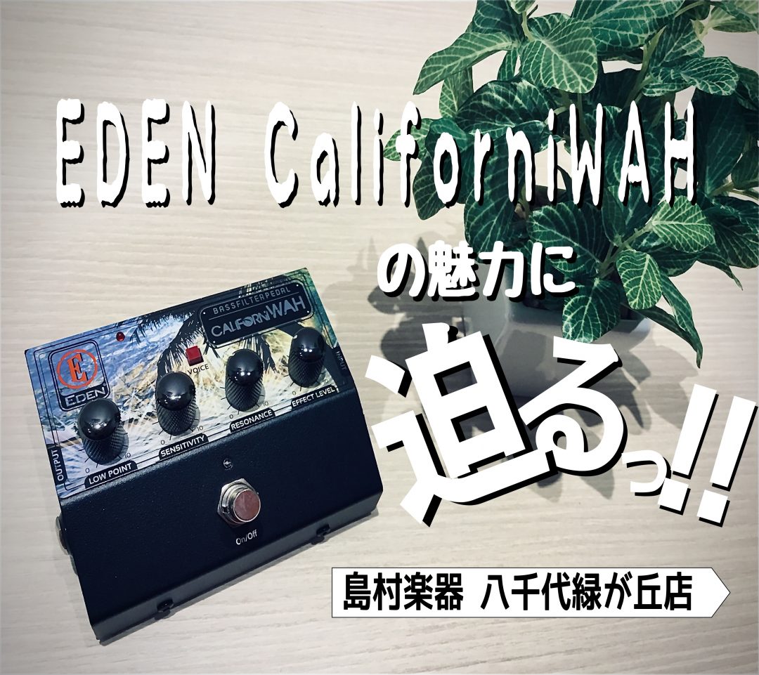 送無！美品！】EBS☆BassIQベース用オートワウ☆エフェクター、ギター