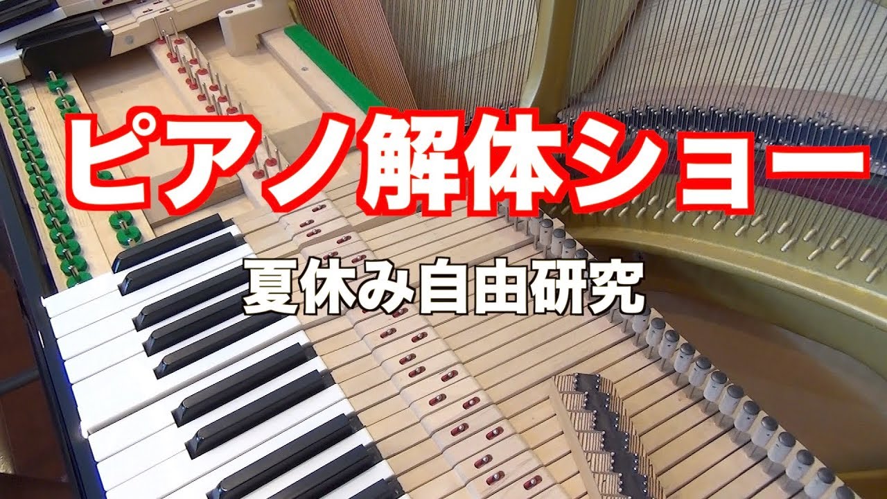夏休み企画 ピアノハンマーキーホルダーをつくろう ピアノ解体show Coaska Bayside Stores 横須賀店 店舗情報 島村楽器